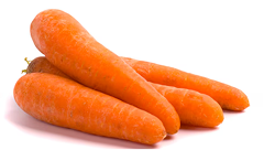 Carrots